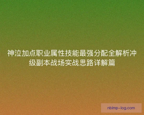 神泣加点职业属性技能最强分配全解析冲级副本战场实战思路详解篇
